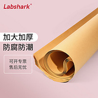 LABSHARK 实验室用牛皮纸全木浆全开大张加厚双面包装纸 精品牛皮纸 1张