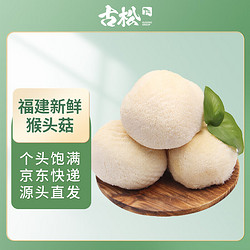Gusong 古松食品 古松新鲜猴头菇2斤 菌菇炖汤煲汤火锅 源头直发包邮
