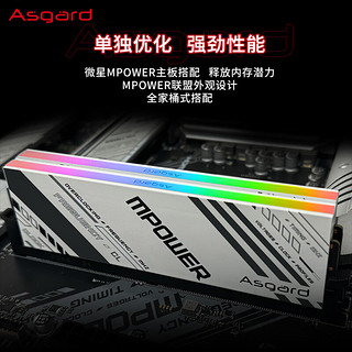 Asgard 阿斯加特 32GB(16Gx2)套 DDR5 6800 台式机内存条 RGB灯条-女武神·瓦尔基里M-power