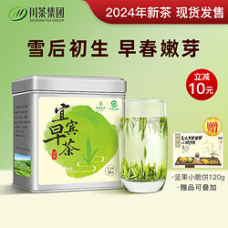 宜宾早茶绿茶茶叶2024年新茶四川明前雀舌特级天府龙芽早春茶50g