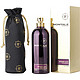 montale 蒙塔莱 巴黎浓咖啡 男女皆宜香水 EDP 100ml