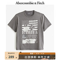 ABERCROMBIE & FITCH男装女装装 24夏季时尚图案美式风复古T恤 KI123-4161 深灰色 XL (180/116A)