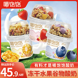 塘日塔格 嚼饱饱水果酸奶发酵酸奶休闲食品搅拌酸奶6盒