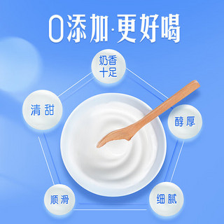 JUST YOGHURT 纯甄 0添加巴氏杀菌热处理原味风味酸奶利乐钻200g×2盒