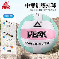 PEAK 匹克 排球中考专用比赛5号经典机缝PVC儿童男女学生训练排球白/海兰