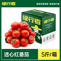 【绿行者】透心红番茄自然熟新鲜西红柿生吃番茄水果番茄5斤