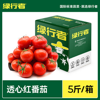 透心红番茄水果番茄5斤