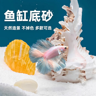 威毕红砂天然溪流石沙底砂鱼缸造景摆件乌龟缸装饰水族箱铺底 刚果红沙500克