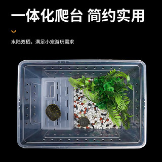 威毕乌龟饲养缸爬虫饲养盒蜘蛛角蛙守宫蜥蜴寄居蟹蛇昆虫宠物冬眠用品 小号白色19*12.5*7.5cm