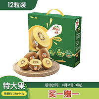 Zespri 佳沛 新西兰阳光金奇异果12粒礼盒特大果单果约124-146g买一赠一