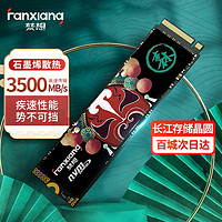 FANXIANG 梵想 S500PRO M.2固态硬盘1TB SSD长江存储晶圆NVMe协议512G笔记本