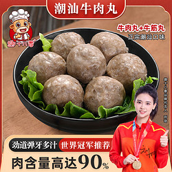 趣十八番 正宗潮汕牛肉丸   牛肉丸500g+牛筋丸500g