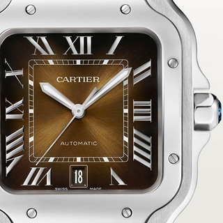 Cartier 卡地亚 SANTOS DE CARTIER腕表系列 39.8毫米自动上链腕表 WSSA0064