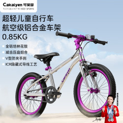 Cakalyen CK09系列 儿童自行车  镜面绝绝紫 20寸