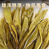 勐洛小寨 新茶2024年老班章普洱茶散茶布朗山古树茶春茶云南勐海生普茶 口碑好高复购 500克