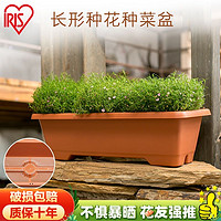 百亿补贴：IRIS 爱丽思 长条种植花盆塑料阳台落地种菜盆加厚树脂塑料花盆