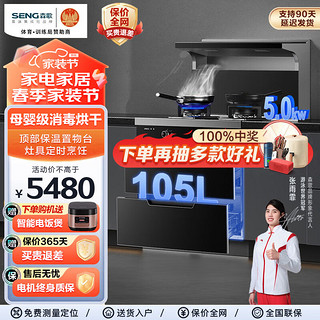 SENG 森歌 集成灶F30 消毒柜烘干 灶具定时 恒温置物台 家用油烟机燃气灶烟灶套装