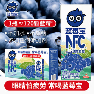 蓝莓宝100%NFC蓝莓果汁   250ml*10盒礼盒装