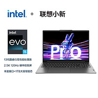 百亿补贴：Lenovo 联想 小新Pro16 i5-13500H 16G 1TB 集显16英寸超能轻薄笔记本电脑