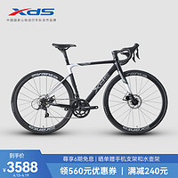 喜德盛（xds）公路自行车RS380 铝合金车架18速变速线拉油碟 黑/银 700C*510 黑/银 700C*510(175-185cm)