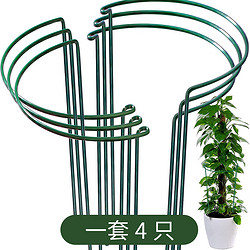 ORANGE 欧润哲 植物支撑桩花园植物支撑架植物支撑杆花架支撑环  一套4只拼2圆