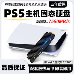 Shanli 闪立 PS5主机SSD固态硬盘2TB游戏主机专用PCie4.0固态SSD PS5专用 1TB固态硬盘(国货认证版)