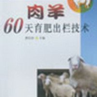 肉羊60天育肥出栏技术