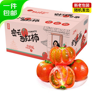 京百味 密云铁皮西红柿草莓番茄4.5斤礼盒 优选新鲜蔬菜 源头直发包邮