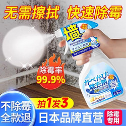 FAJIS 墙体墙面除霉剂 500ml