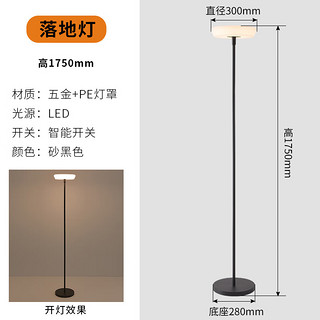 雷馨户外简约庭院灯家用落地灯露台楼顶高杆灯花园布置氛围草坪灯 300*1750mm