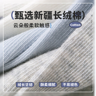 六指鼠儿童袜子男童宝宝春夏季精梳棉中筒大童男孩小孩夏天薄款透气 89W薄棉（海底总动员）5双 0-1周岁(23码以内袜标0-3岁)