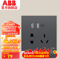 ABB 盈致系列 灰色 五孔带双USB插座