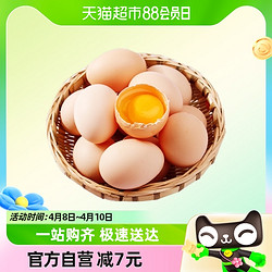 蛋悠品 新鲜散养柴鸡蛋自养笨鸡蛋土鸡蛋45g*6枚谷草鸡蛋