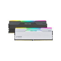 KLEVV 科赋 CRAS系列 CRAS V RGB DDR5 7600MHz 台式机内存 灯条 白色 48GB 24GBx2