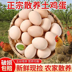 筱诺 新鲜农村土鸡蛋40g/枚农家散养自养天然柴鸡蛋笨鸡蛋草鸡蛋