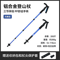 PELLIOT 伯希和 登山杖折叠手杖装备全套一对轻便爬山拐杖外锁专业徒步轻便伸缩棒