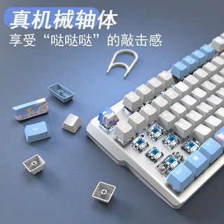本手《鲸语星愿》主题机械键盘有线电竞游戏键盘鼠标套装台式电脑笔记本打字办公女生发光吃鸡键鼠套装 《鲸语星愿》白蓝【彩光】青轴 机械键盘104键