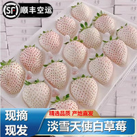 糜鸿【顺丰空运】淡雪草莓奶油白草莓特大果1斤