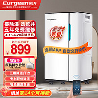 Eurgeen 欧井 除湿机/抽湿机 除湿量20升/天 适用面积40-120㎡ 家用地下室轻音净化干衣吸湿器 OJ-231E