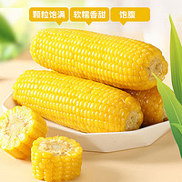 荆品名门 黄糯玉米甜糯玉米棒加热即食低脂 黄糯8穗 1600g