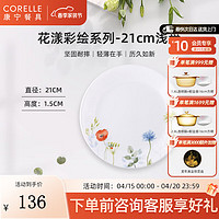 CORELLE 康宁餐具 进口花漾彩绘玻璃餐具套装饭碗面碗骨碟深盘 21cm浅盘