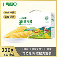 十月稻田 五常龙凤山黄糯软黏玉米棒 220g