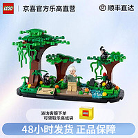 LEGO 乐高 40530向珍妮古道尔致敬Jane 黑猩猩乐园 男女孩拼插积木玩具