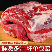 农沁蜜溢 原切牛腩肉 5斤