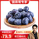 88VIP：DRISCOLL'S/怡颗莓 Driscoll's怡颗莓云南蓝莓125g/盒当季新鲜水果