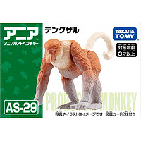 TAKARA TOMY 多美 TOMY多美卡安利亚野生动物小模型儿童仿真认知玩具长鼻猴子179726