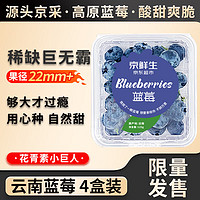 Mr.Seafood 京鲜生 云南蓝莓 4盒装 果径22mm+ 新鲜水果礼盒 源头直发包邮