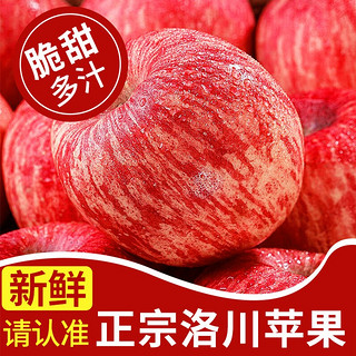 堡鲜生 陕西洛川红富士苹果脆甜多汁时令新鲜孕妇水果生鲜苹果整箱 80-85mm带箱10斤（净重8.8斤）