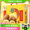 88VIP：Zespri 佳沛 新西兰金奇异果16个中果礼盒 单果88-102g猕猴桃新鲜水果包邮