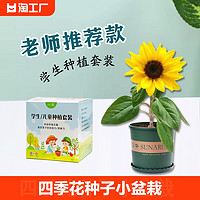 以默 儿童种植小盆栽套装学生实验套餐植物向日葵种孑四季凤仙花种籽子